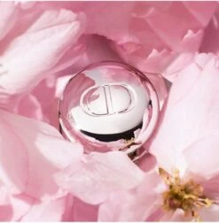 Merkloos Dior Addict Lip Maximizer Lipgloss - 012 Rosewood - Lipgloss - 6 Ml - 24 Uur Zichtbaar Effect -Deluxe - Gewild - Snel Uitverkocht - Rituals - Beste Getest Uit De Consumentenbond - Let Op: Op = Op -Beste Lip Winkel 1175x1200 2