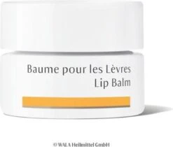 Dr. Hauschka Dr. Hauschka Lip Balm 4,5 Ml 11 Dr. Hauschka Dr. Hauschka Lip Balm 4,5 Ml -Beste Lip Winkel 1200x1018