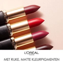 L'Oréal Paris Color Riche Matte Lippenstift - 655 Copper Clutch -Beste Lip Winkel 1200x1198 48