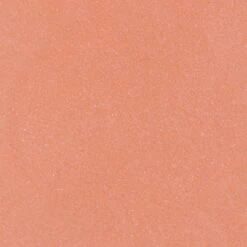 Blèzi® Lip Fix 10 Blissful Pink - Lipstick - Lippenstift Langhoudend - Roze Perzik -Beste Lip Winkel 1200x1200 241