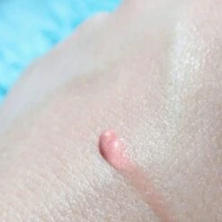 Lippenbalsem Natural Pink Biodermal Sun Lipbalm Lipbalsem SPF25 - Tube 12 Ml - -Beste Lip Winkel 1200x1200 738