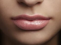 L'Oréal Paris Color Riche Shine Lippenstift - 658 Topless -Beste Lip Winkel 1200x891 1