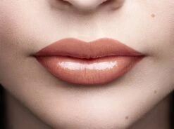 L'Oréal Paris Color Riche Shine Lippenstift - 656 Beige In The City -Beste Lip Winkel 1200x895 1