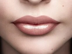 L'Oréal Paris Color Riche Shine Lippenstift - 658 Topless -Beste Lip Winkel 1200x895