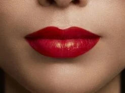 L'Oréal Paris Color Riche Shine Lippenstift - 352 BeautyGuru -Beste Lip Winkel 1200x900 2