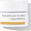 Dr. Hauschka Dr. Hauschka Lip Balm 4,5 Ml 2 Dr. Hauschka Dr. Hauschka Lip Balm 4,5 Ml -Beste Lip Winkel 1200x926